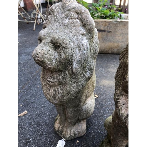 288 - Pair of Garden statues of seated Lions approx 48cm tall (2)