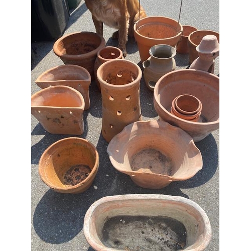 290 - Good collection of Garden Terracotta pots