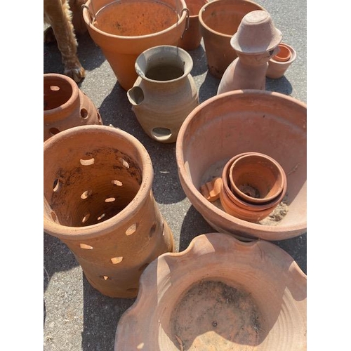 290 - Good collection of Garden Terracotta pots