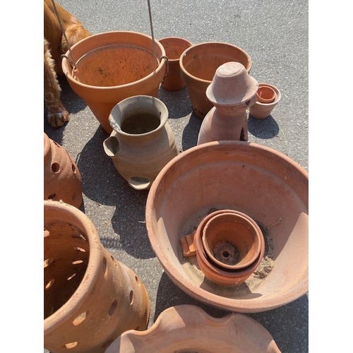 290 - Good collection of Garden Terracotta pots