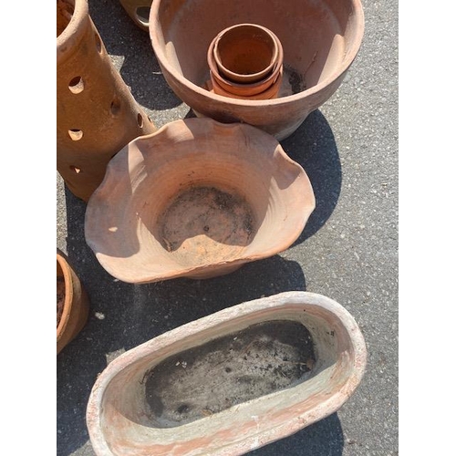 290 - Good collection of Garden Terracotta pots