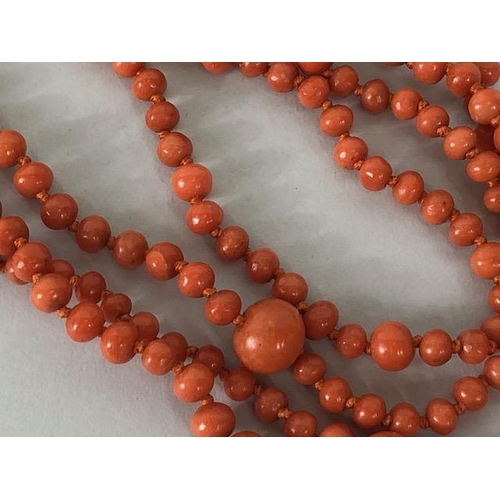 50 - Antique Jewellery, length of graduated coral beads, approximately 350 beads graduating from approxim... 