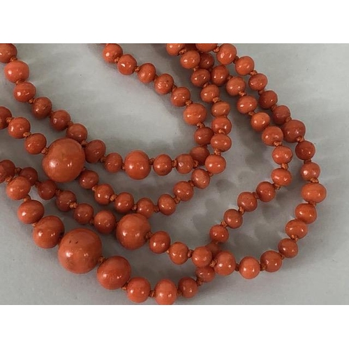 50 - Antique Jewellery, length of graduated coral beads, approximately 350 beads graduating from approxim... 