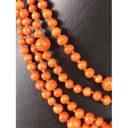 50 - Antique Jewellery, length of graduated coral beads, approximately 350 beads graduating from approxim... 