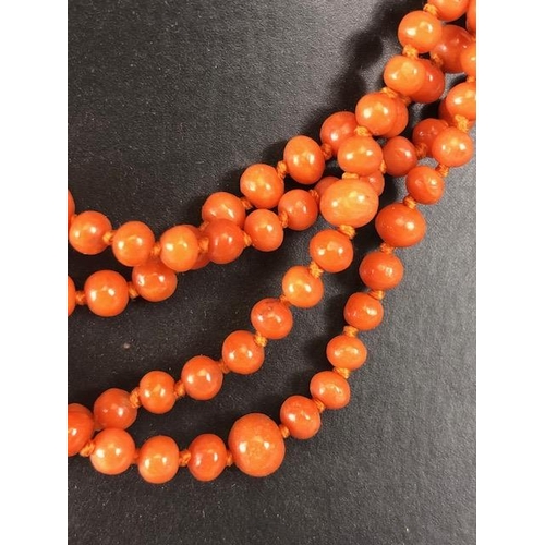 50 - Antique Jewellery, length of graduated coral beads, approximately 350 beads graduating from approxim... 