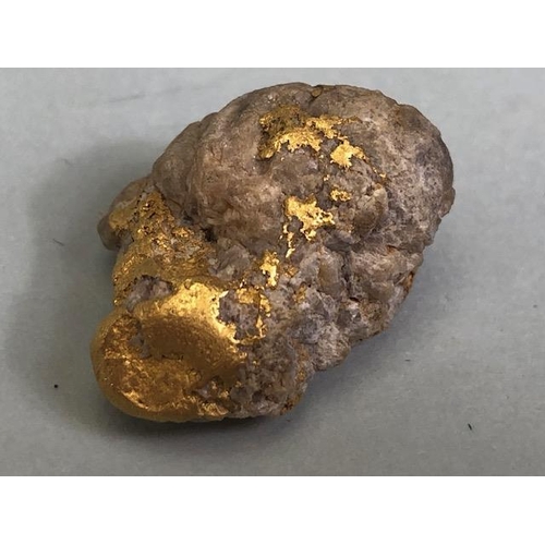 81 - Gold Specimen interest, rare opportunity to purchase a smooth gold and quartz nugget as dredged from... 