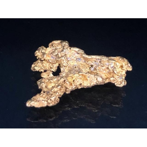 82 - Gold Specimen interest, rare opportunity to purchase a rough gold nugget as dredged from the Feather... 