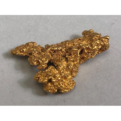 82 - Gold Specimen interest, rare opportunity to purchase a rough gold nugget as dredged from the Feather... 