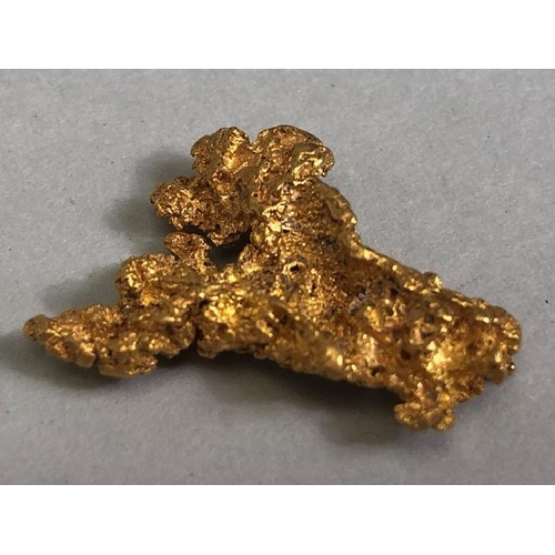 82 - Gold Specimen interest, rare opportunity to purchase a rough gold nugget as dredged from the Feather... 