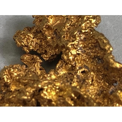 82 - Gold Specimen interest, rare opportunity to purchase a rough gold nugget as dredged from the Feather... 