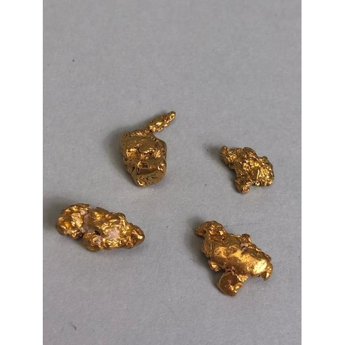 83 - Gold Specimen interest, rare opportunity to purchase four rough gold nuggets as dredged from the Fea... 