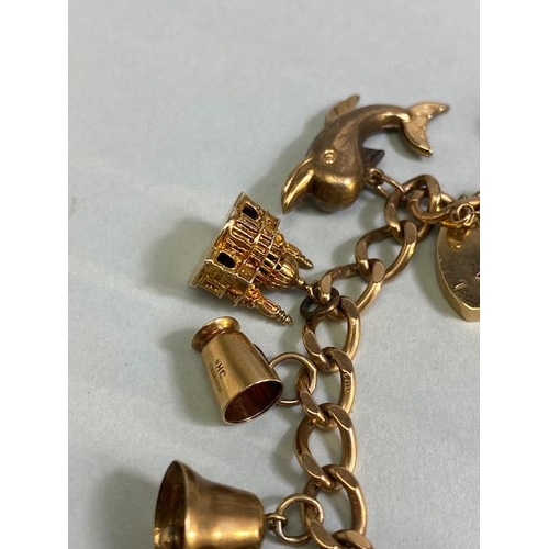 18 - 9ct Gold Charm bracelet with a good collection of 9ct Gold charms to include a Dolphin, Horse, teapo... 