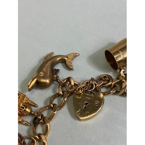 18 - 9ct Gold Charm bracelet with a good collection of 9ct Gold charms to include a Dolphin, Horse, teapo... 