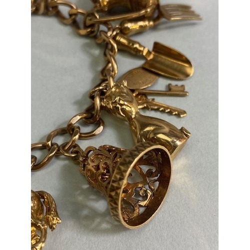 18 - 9ct Gold Charm bracelet with a good collection of 9ct Gold charms to include a Dolphin, Horse, teapo... 