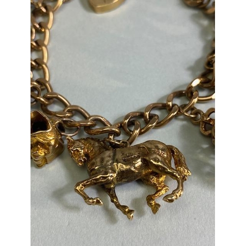 18 - 9ct Gold Charm bracelet with a good collection of 9ct Gold charms to include a Dolphin, Horse, teapo... 