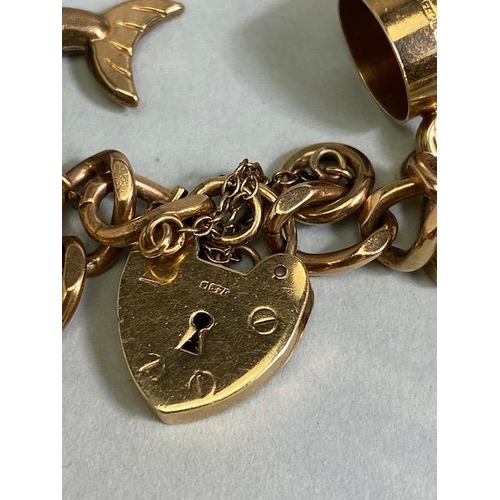 18 - 9ct Gold Charm bracelet with a good collection of 9ct Gold charms to include a Dolphin, Horse, teapo... 