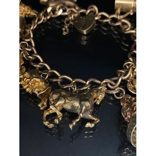 18 - 9ct Gold Charm bracelet with a good collection of 9ct Gold charms to include a Dolphin, Horse, teapo... 