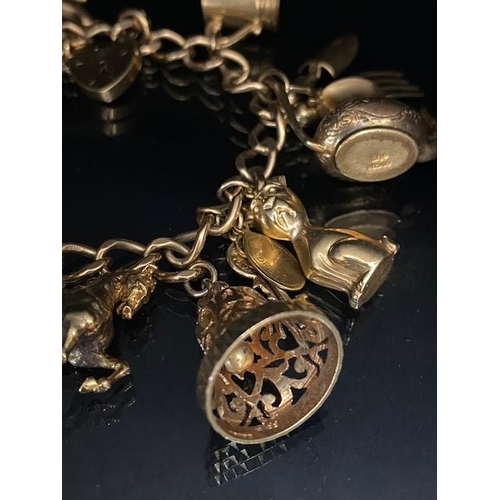 18 - 9ct Gold Charm bracelet with a good collection of 9ct Gold charms to include a Dolphin, Horse, teapo... 