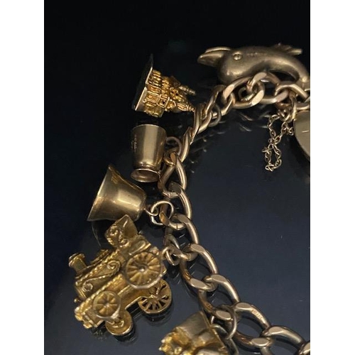 18 - 9ct Gold Charm bracelet with a good collection of 9ct Gold charms to include a Dolphin, Horse, teapo... 