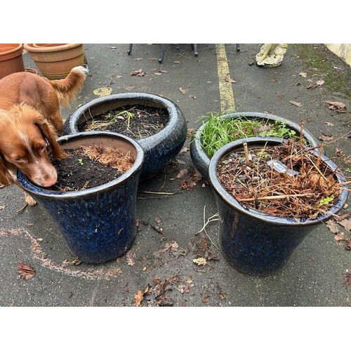 421 - Collection of good sized Ceramic blue glazed garden pots (4)