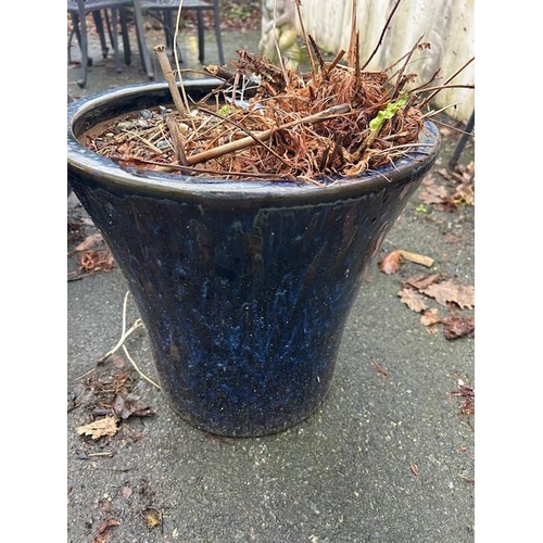 421 - Collection of good sized Ceramic blue glazed garden pots (4)