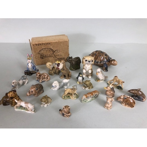 Lot 148       