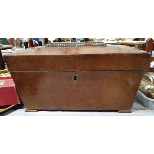 32 - A 19th century sarcophagus shaped tea caddy, width 11