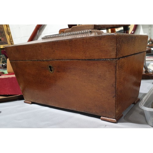 32 - A 19th century sarcophagus shaped tea caddy, width 11