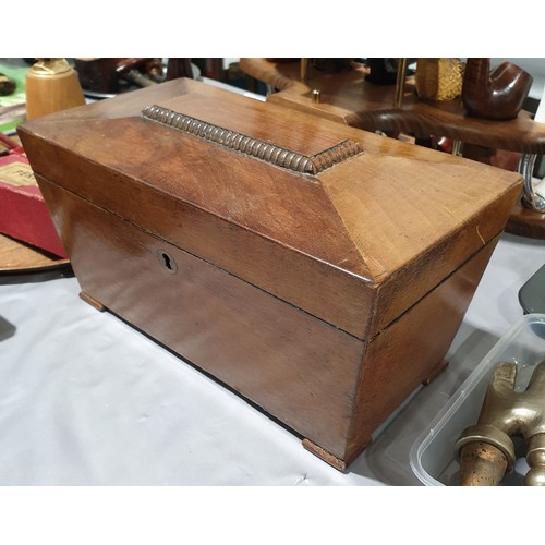 32 - A 19th century sarcophagus shaped tea caddy, width 11