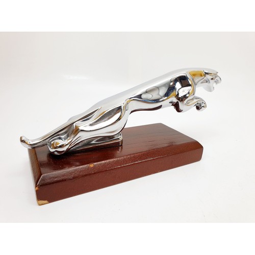 157 - A chrome plated Jaguar car mascot mounted on a wooden plinth, length 7.5