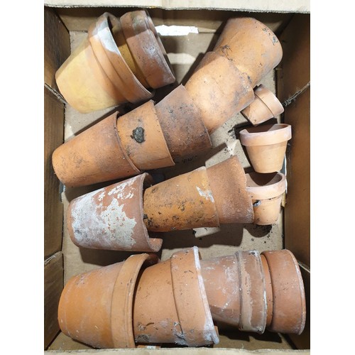 29 - A box of terracotta plant pots. No shipping. Arrange your own packer and shipper, please.