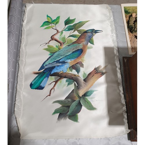 460 - Pina Bacchini: a watercolour drawing of a bird on silk, 27.5