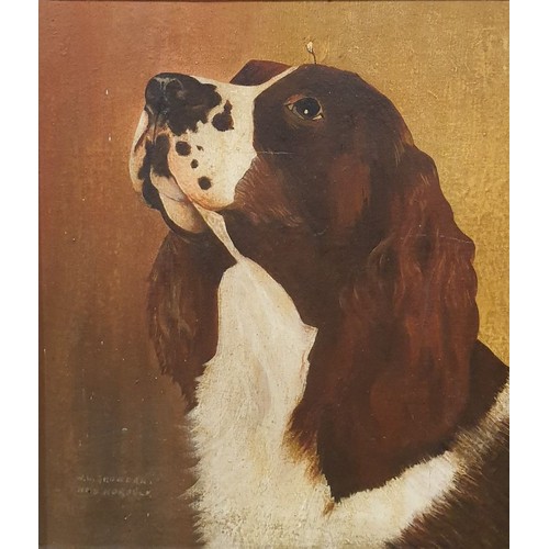 226 - A. W. L. Growden: an oil on board painting of a spaniel, 14