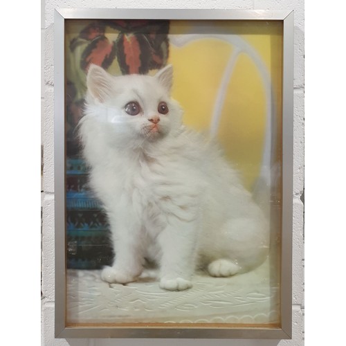 Lot 71        