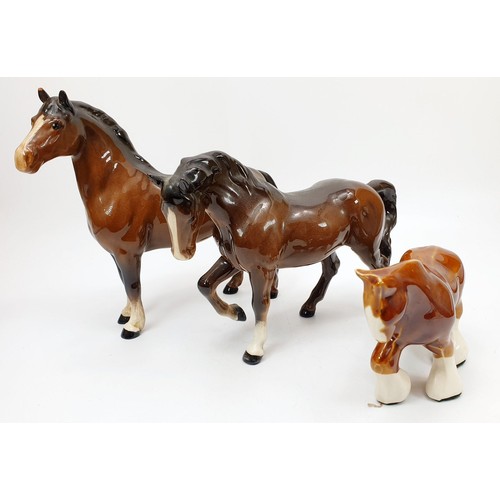 Lot 75        