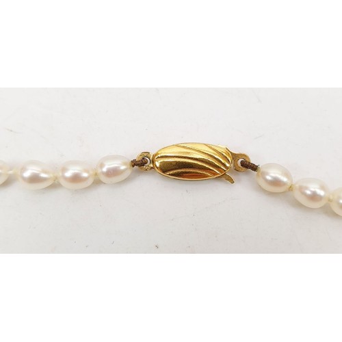167 - A pearl necklace with a 9ct gold clasp. UK shipping £14.