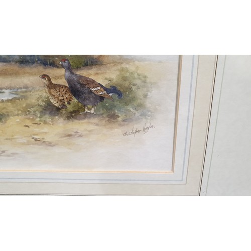 248 - Christopher Wyndham Hughes (1881-1961): a watercolour drawing depicting grouse and partridge in a la... 