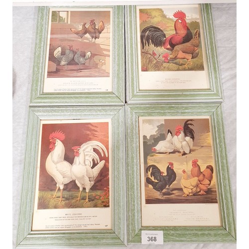 368 - Four Cockerel prints, 7.5