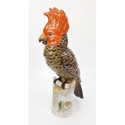 339 - An antique ceramic model of a red headed parrot, height 11