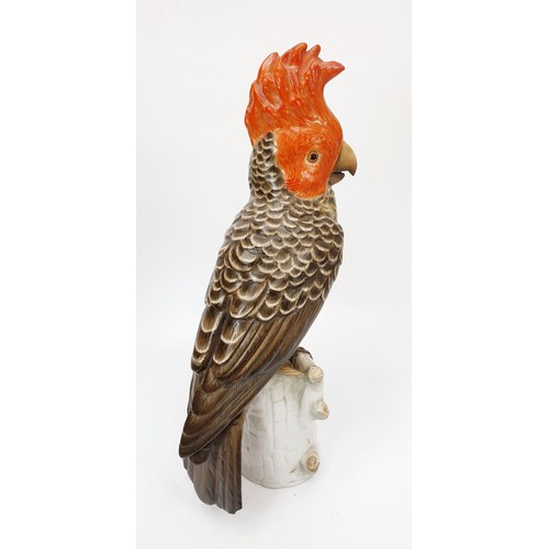 339 - An antique ceramic model of a red headed parrot, height 11