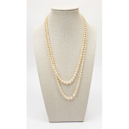 59 - A string of pearls with a large hallmarked 9ct gold clasp. UK shipping £14.