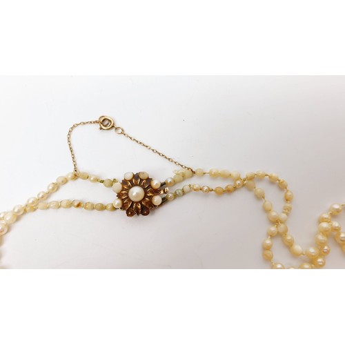 59 - A string of pearls with a large hallmarked 9ct gold clasp. UK shipping £14.