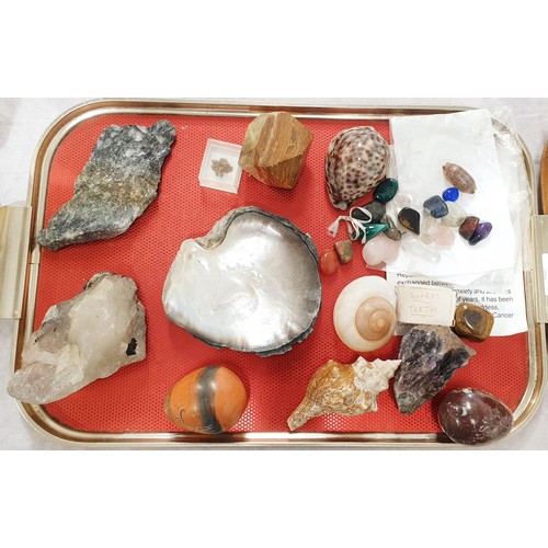 147 - Minerals and shells. UK shipping £14.