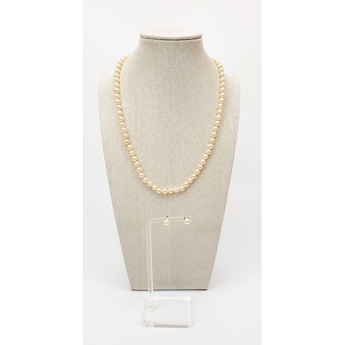 16 - A string of cultured pearls and ear studs with 9ct gold fittings, necklace length 18