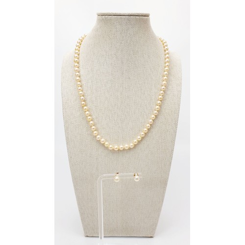 16 - A string of cultured pearls and ear studs with 9ct gold fittings, necklace length 18