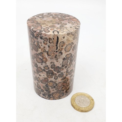 61 - A cylinder of rock containing fossils, height 3