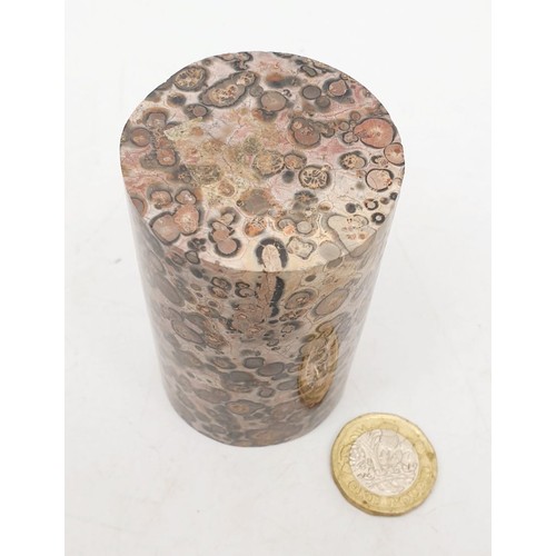 61 - A cylinder of rock containing fossils, height 3