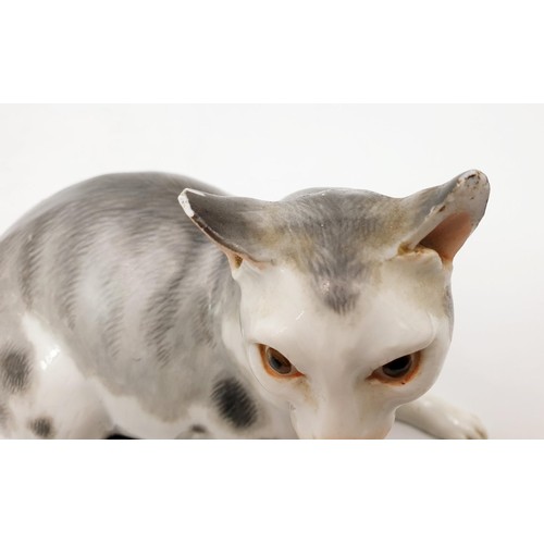 138 - An antique hand painted Meissen model of a cat, A/F, length 5.75