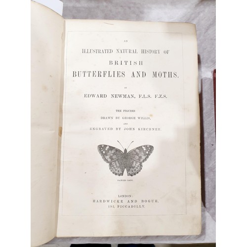 118 - Newman, Edward, The Natural History of British Butterflies and Moths, Hardwicke & Bogue, London. UK ... 