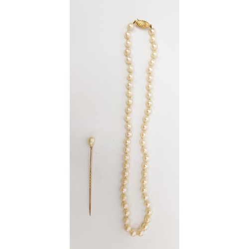 25 - A string of cultured pearls with a 9ct gold clasp, length 15.75